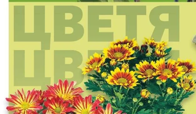 Цветя