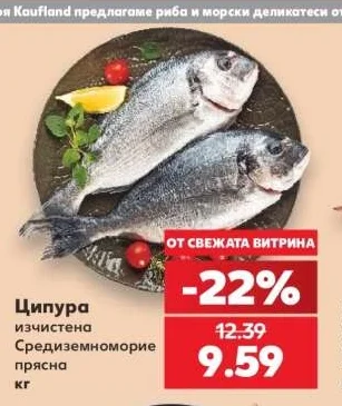 Ципура изчистена Средиземноморие прясна кг