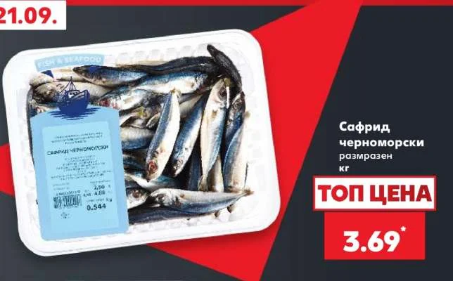 Сафрид черноморски размразен кг