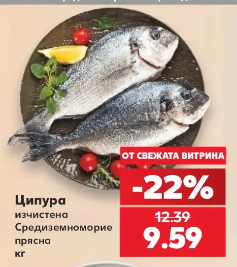Ципура изчистена Средиземноморие прясна 1 кг