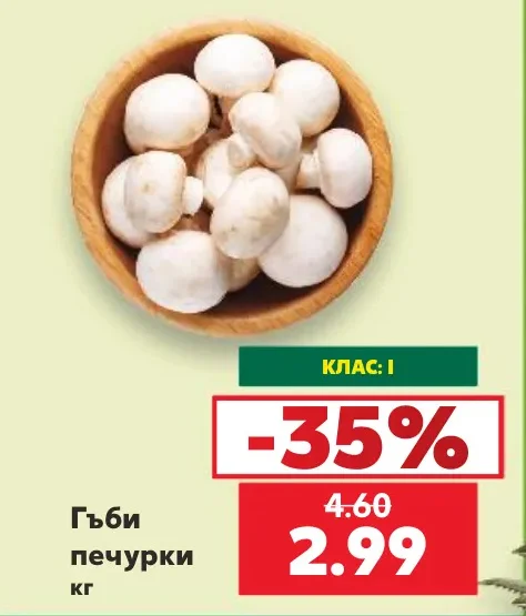 Гъби печурки кг