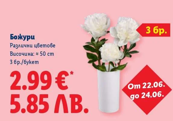Божури Различни цветове 3 бр./букет