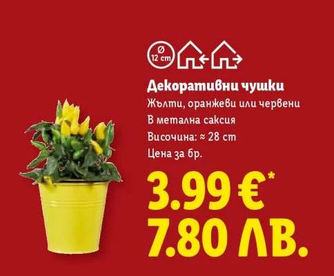 Cuski