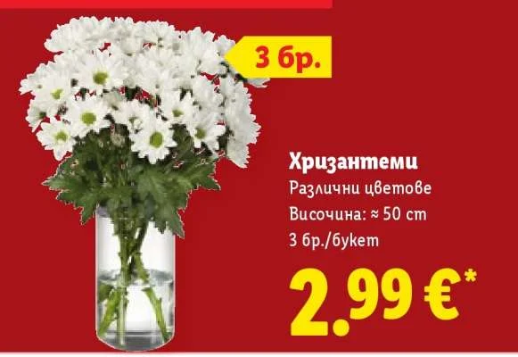 Хризантеми Различни цветове 3 бр./букет
