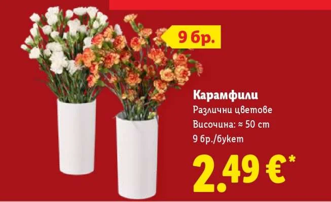 Карамфили Различни цветове 9 бр./букет