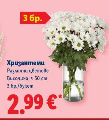 Хризантеми Различни цветове 3 бр./букет
