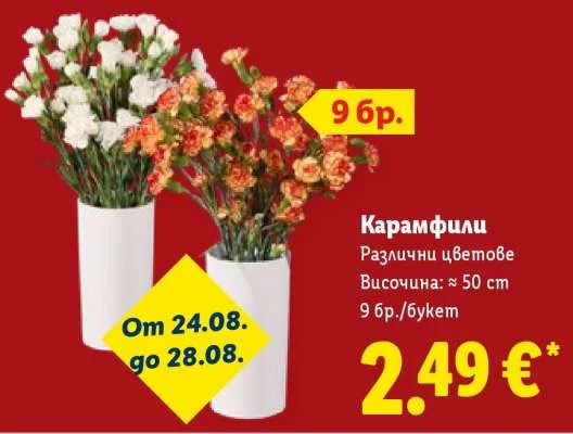 Карамфили Различни цветове 9 бр./букет