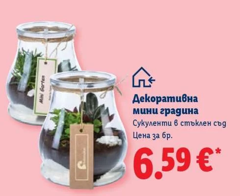 Декоративна мини градина Сукуленти в стъклен съд