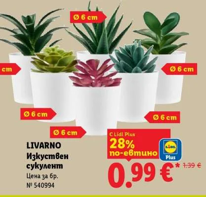 LIVARNO Изкуствен сукулент