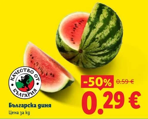 Българска диня