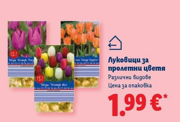 Луковици за пролетни цветя Различни видове