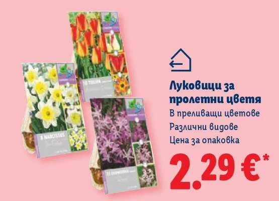 Луковици за пролетни цветя В преливащи цветове Различни видове
