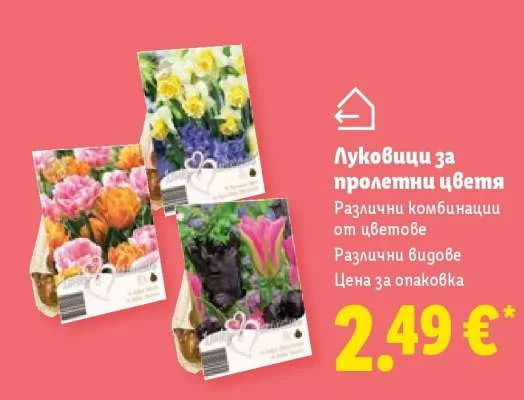 Луковици за пролетни цветя