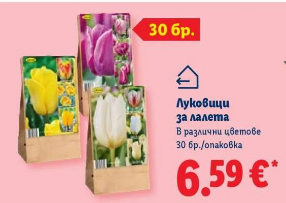 Луковици за лалета В различни цветове 30 бр./опаковка