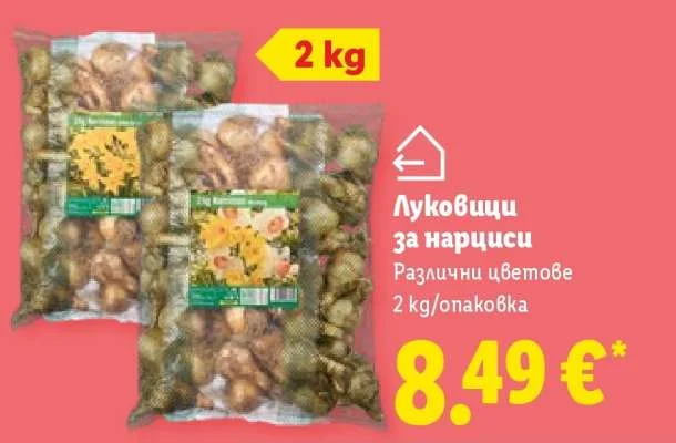 Луковици за нарциси Различни цветове 2 кг