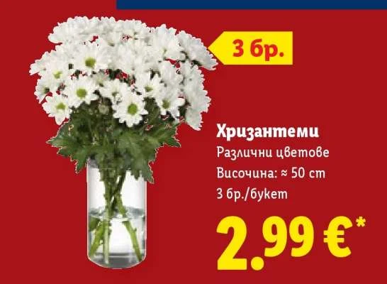 Хризантеми Различни цветове 3 бр./букет