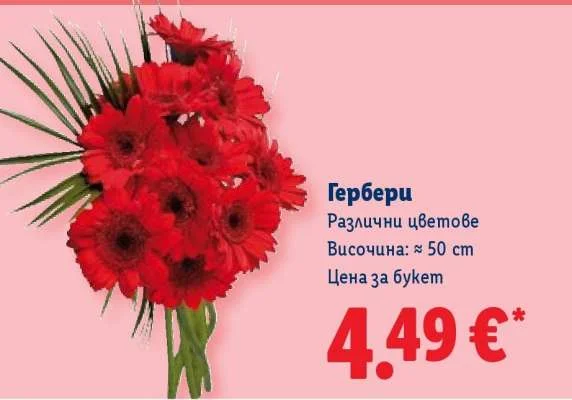 Гербери Различни цветове Височина: ≈ 50 см