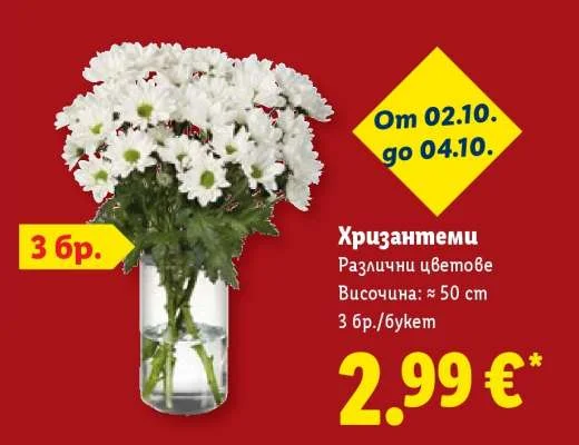 Хризантеми Различни цветове 3 бр./букет