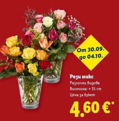 Рози микс Височина: ≈ 35 cm