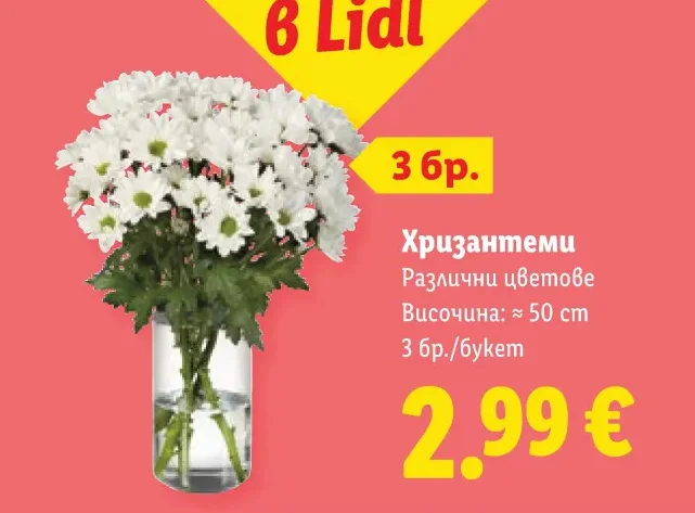 Хризантеми Различни цветове 3 бр./букет