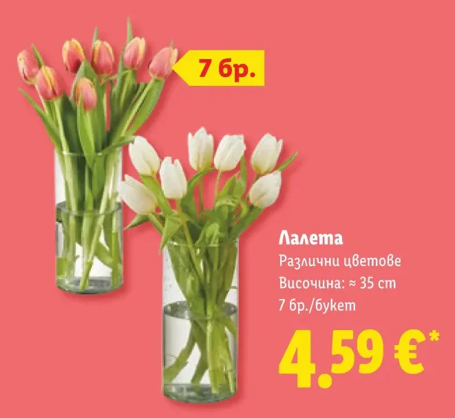 Лалета Различни цветове Височина: ≈ 35 cm 7 бр./букет