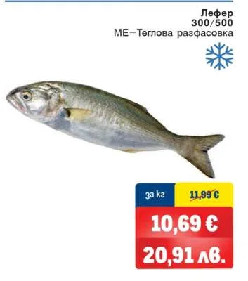 Лефер 300/500