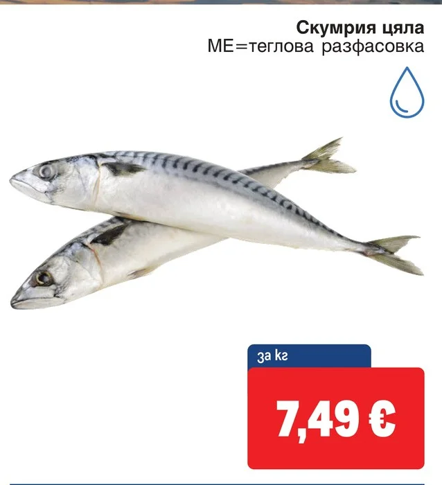 Скумрия цяла