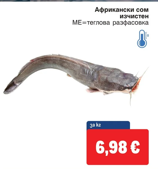 Африкански сом изчистен