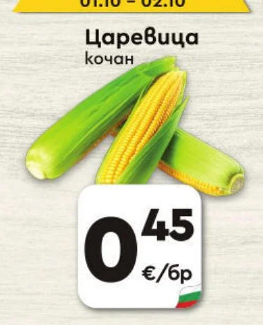 Царевица кочан