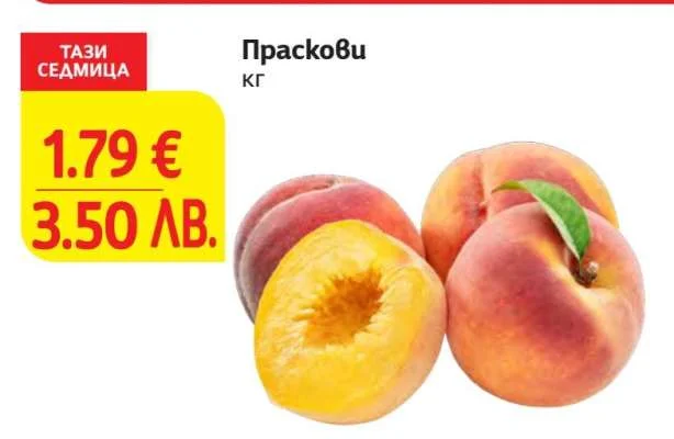 Прасĸови кг
