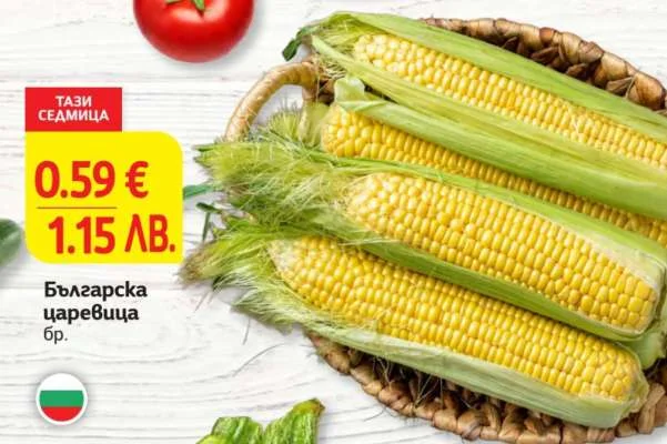 Българска царевица бр.