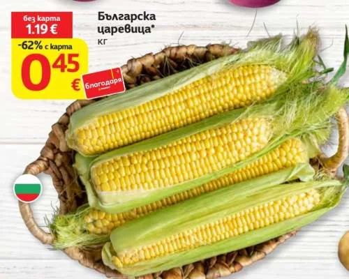 Българска царевица