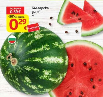 Българска диня