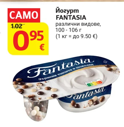 FANTASIA Йогурт различни видове 100 - 106 г