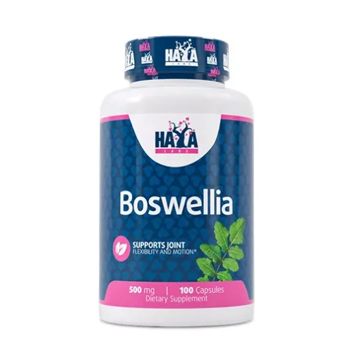 Boswellia Extract 500 mg / 100 Caps - Haya Labs