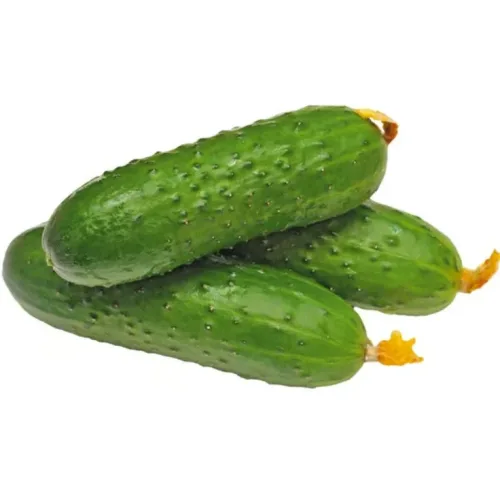 Корнишони