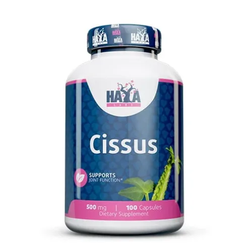 Cissus 500 mg / 100 Caps - Haya Labs