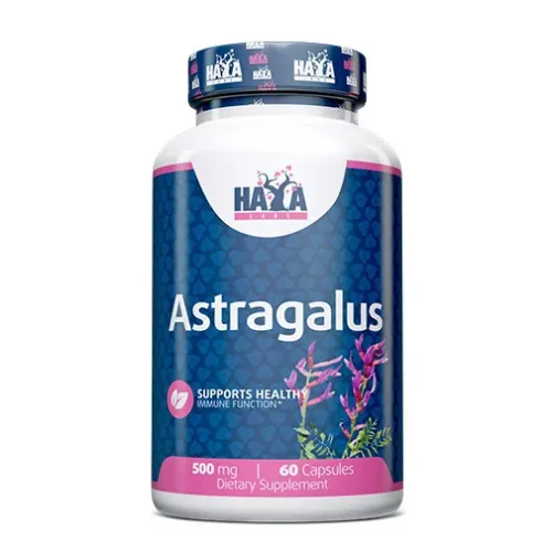 Astragalus 500 mg / 60 Caps - Haya Labs