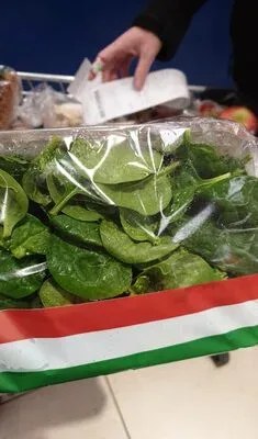 Млади спанак / Young Spinach - Родна стряха