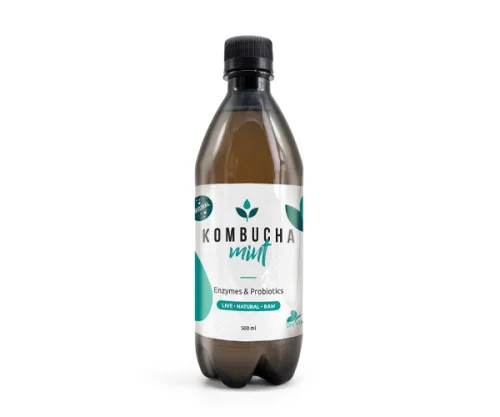 Комбуча mint - Dalvita