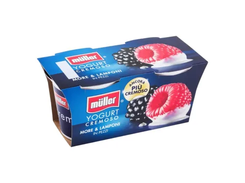 Йогурт Muller Горски Плодове 2х125гр